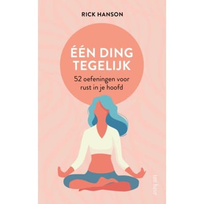 Eén Ding Tegelijk - Rick Hanson