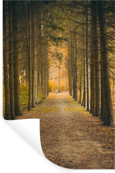 Muurstickers - Sticker Folie - Pad - Bomen - Bos - 20x30 cm - Plakfolie - Muurstickers Kinderkamer - Zelfklevend Behang - Zelfklevend behangpapier - Stickerfolie