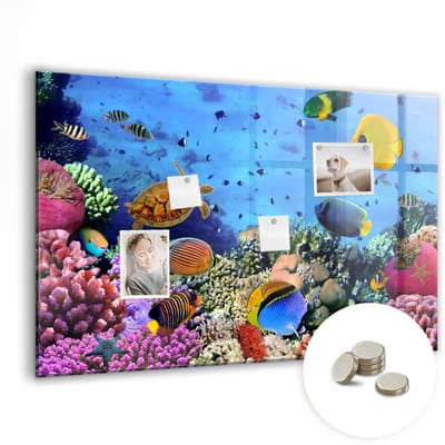 Tulup Glassboards - Onderwaterleven Magneetbord - 90 cm x 60 cm - Veelkleurig Memobord Magnetisch - Gratis 5 Sterke Magneten - Moderne Wanddecoratie - Magnetisch Memobord - Magnetic Board - Organiseer Je Bureau - Memobord Glas