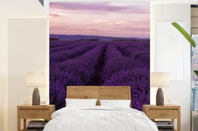 Behang - Fotobehang Lavendel - Paars - Bloemen - Natuur - Breedte 175 cm x hoogte 240 cm