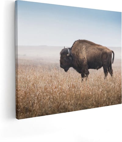 Artaza Canvas Schilderij Buffel - 50x40 cm - Wanddecoratie Wilde Dieren - Muurdecoratie Natuur - Kamer Accessoires Landschap