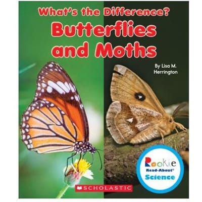 Butterflies & Moths - LISA M. HERRINGTON