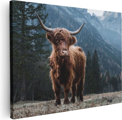 Artaza Canvas Schilderij Hooglander - 40x30 cm - Klein - Muurdecoratie Natuur - Wanddecoratie Woonkamer - Kamer Accessoires