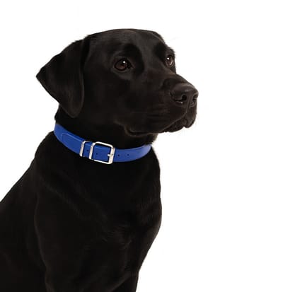 Nobleza Hondenhalsband blauw - Maat L - Verstelbaar 40 / 51 cm - Kunstleder
