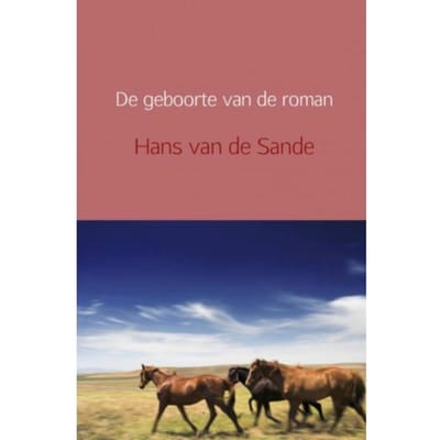 De Geboorte Van De Roman - Hans van de Sande