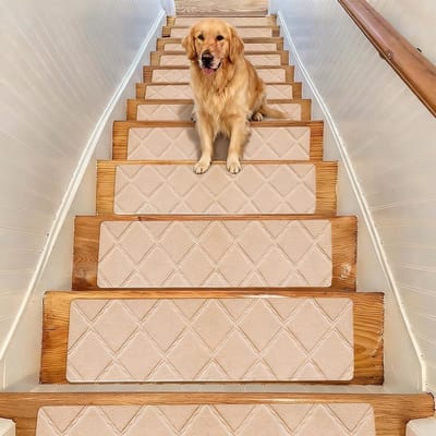 Dailygoods - Traptredenmatten, 15 stuks, zelfklevende trapmatten, voor binnen, antislip, op maat te snijden, herbruikbaar traptapijt, 55 cm x 19 cm (beige)