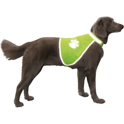 Veiligheidsvest voor honden Nobby Pet
