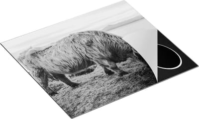 Chefcare Inductie Beschermer Schotse Hooglander Koe graast Gras aan het Water - Zwart Wit - 60x50 cm - Afdekplaat Inductie - Kookplaat Beschermer - Inductie Mat