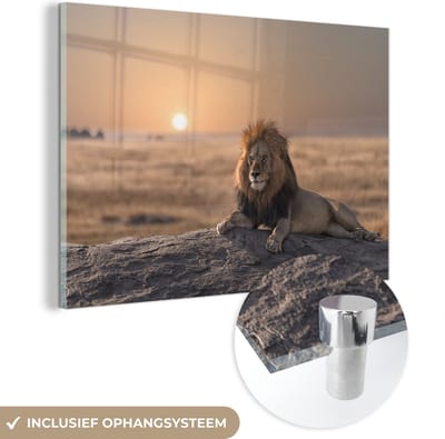 MuchoWow® Glasschilderij 60x40 cm - Schilderij acrylglas - Leeuw - Zon - Afrika - Foto op glas - Schilderijen