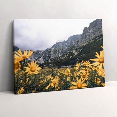 Wallfluent Foto Op Canvas Weidebloemen in het Tatragebergte - 80 x 60 cm - Geel Schilderij Canvas - Landschappen Canvas Foto - Natuur Print Op Doek - Landschappen Schilderijen Op Canvas Doek