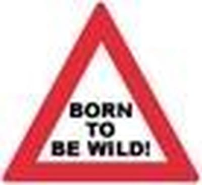 Miko verkeersbord - Born to be wild!