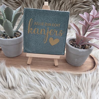 Robuust Wenstegeltje – Jullie Zijn Echt Kanjers – Hip trendy tegeltje – Bedankje voor Zorghelden, Team of Collega’s – Stoere en Betekenisvolle Wanddecoratie – Trendy nu – Decoratief Tegeltje met Standaard – Cadeau Idee