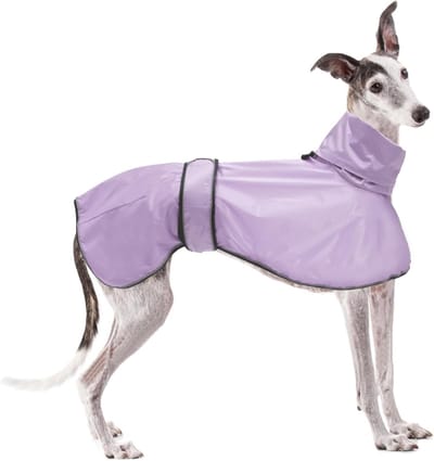 Verstelbare lichtgewicht hondenregenjas met reflecterende banden en harnashole, ideaal voor Greyhounds, Lurchers en Whippets - Lila - XL