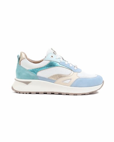 FOOTNOTES blauwmulti