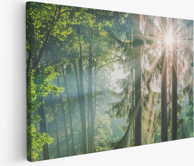 Saammp Muurcirkel Hout - Panda met cappuchon op - Abstract - Ø 90 - Wandcirkel - Wanddecoratie Cirkel - Muurdecoratie Kinderkamer - Slaapkamer decoratie - Rond Schilderij