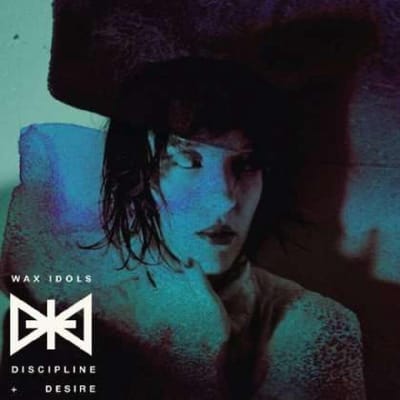 Discipline & Desire