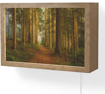 Wandlamp 30x20 cm - Oplaadbaar - Bos - Natuur - Bomen - Landschap - Bladeren - Wandlampen binnen woonkamer - Slaapkamer lamp met kabel - Decoratieve nachtlamp - Vloerlamp snoer