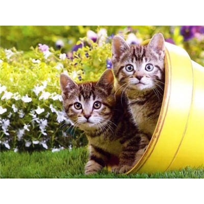 Peinture diamant 5D chat point de croix, mosaïque circulaire, broderie diamant 20X30CM yellow