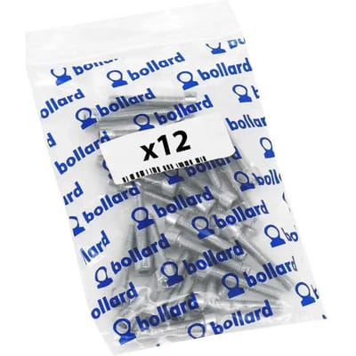Set van 12 schroeven / inbus P2R
