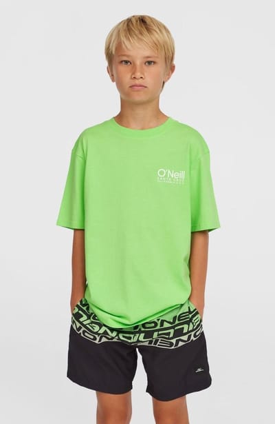 O'Neill Cali Stripe 14" Kids Boardshorts groen