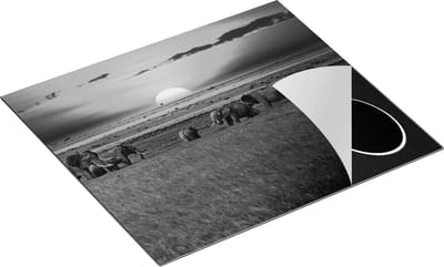 Chefcare Inductie Beschermer Olifanten in het Wild - Zonsondergang - Zwart Wit - 60x50 cm - Afdekplaat Inductie - Kookplaat Beschermer - Inductie Mat
