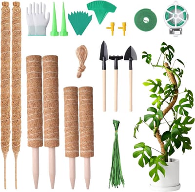 Mosstok - Plantenstok - Mosstok voor planten - Mosstok kamerplant - Mosstok verlengbaar - Plantensteun - Inclusief tuingereedschap - 2 x 30 cm - 2 x 40 cm - 2 x 64 cm - Bruin