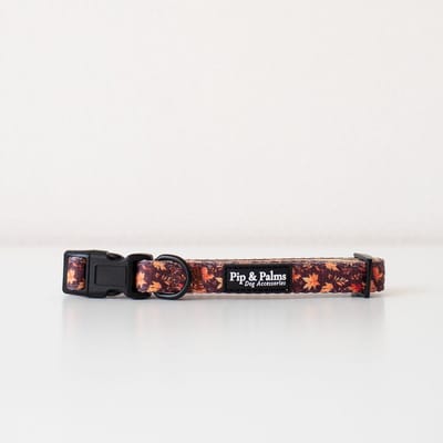 Pip & Palms - Honden Halsband Falling for You - Bruin - Maat XS (22–30 cm) - 1,5cm breed - Comfortabel & Stijlvol - Hondenhalsband - voor Kleine honden