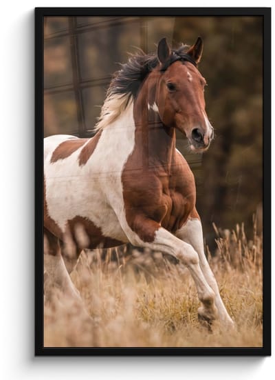 Poster in lijst - Fotolijst 60x90 cm - Posters - Paard - Bruin - Gras - Posterlijst zwart - Decoratie - Wanddecoratie woonkamer - Muurdecoratie slaapkamer