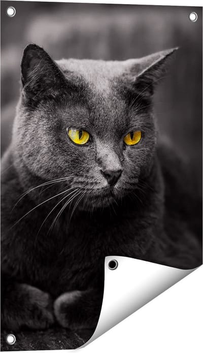 Gards Tuinposter Zwarte Kat met Gele Ogen - 40x60 cm - Tuindoek - Tuindecoratie - Wanddecoratie buiten - Tuinschilderij