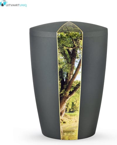 Urn antraciet fluweel boom - bio