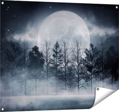 Gards Tuinposter Maan tussen de Bomen in de Nacht - 100x80 cm - Tuindoek - Tuindecoratie - Wanddecoratie buiten - Tuinschilderij