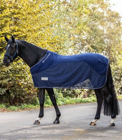 Waldhausen Comfort Vliegend Tapijt Blauw 155 cm