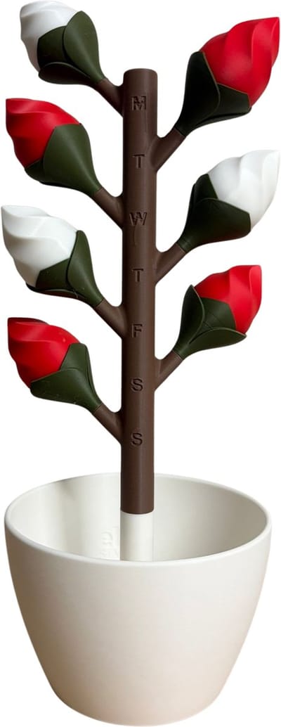 Bloemenboom Medicijn Organizer – Pillendoos 7 Dagen – Decoratieve Pillenhouder – 3D-geprint