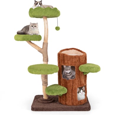 COSTWAY Krabpaal voor katten, kattenboom met twee verdiepingen tellende kattenmand in boomgatvorm, massief hout, kattentoren met jutezuil, ligvlakken, bal en krabplank, kattenkrabpaal, bruin + groen