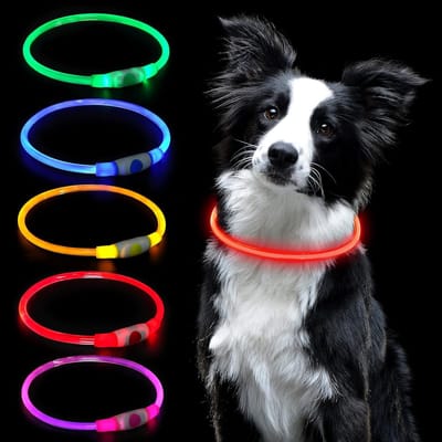 Luminous LED Hondenhalsband, Oplaadbaar en Verstelbaar, Veiligheidsband voor Honden en Katten, Waterproof met 3 Verlichtingsmodi