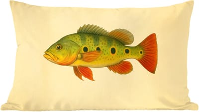 Sierkussens - Kussentjes Woonkamer - 60x40 cm - Schubben - Vis - Groen - Illustratie