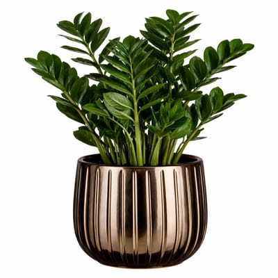 Mica Decorations Plantenpot - keramiek - brons glans / ribbels - D18 x H16 cm - bloempot Pablo