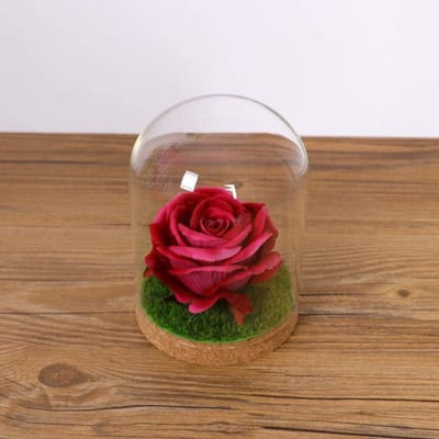 Glazen Stolp - Glazen Koepel - Decoratie Presenteren - Inclusief Houten Basis - 2 stuks 50-90mm - Helder