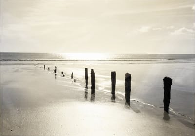 Art for the Home Zonsondergang Buitencanvas 50x70 cm