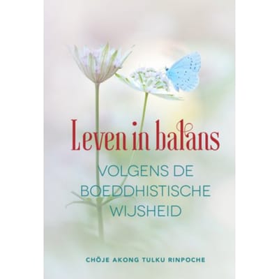 Leven In Balans Volgens De Boeddhistische Wijsheid - Akong Tulku Rinpoche
