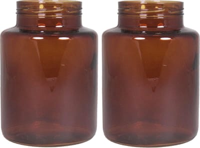 Floran - bloemenvazen - 2x stuks - kastanje bruin/transparant glas - H20 x D14.5 cm