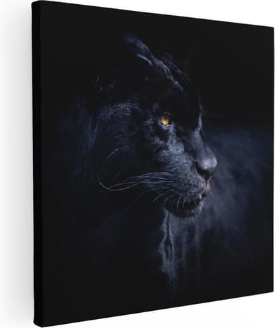 Artaza Canvas Schilderij Panter - 30x30 cm - Klein - Wanddecoratie Wilde Dieren - Muurdecoratie Woonkamer - Kamer Accessoires