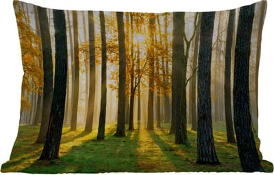 Buitenkussens - Tuin - Bos - Zon - Bomen - Gras - Landschap - Natuur - 50x30 cm