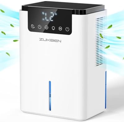 Kleine Luchtontvochtiger met Intelligent LCD Scherm - 2 Ontvochtigingsmodi, Automatische Ontdooiing en 12-uurs Timer