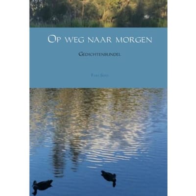 Op Weg Naar Morgen - Fari Sohi