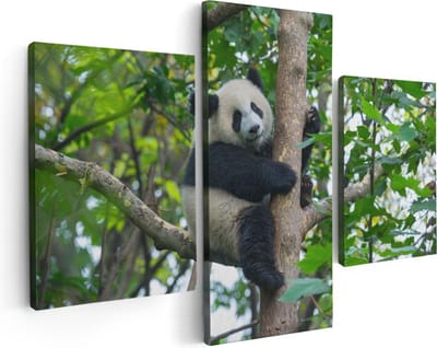 Artaza Canvas Schilderij Drieluik Panda in de Bomen - 90x60 - Foto Op Canvas - Canvas Print