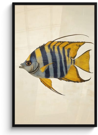 Poster in lijst - Fotolijst 80x120 cm - Posters - Vis - Sierlijk - Vinnen - Illustratie - Posterlijst zwart - Decoratie - Wanddecoratie woonkamer - Muurdecoratie slaapkamer