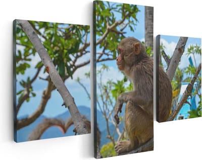 Artaza Canvas Schilderij Drieluik Aap In De Boom - 90x60 - Foto Op Canvas - Canvas Print