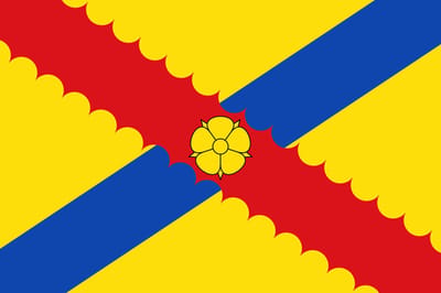 Vlag Hensies 200x300cm