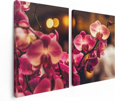 Artaza Canvas Schilderij Tweeluik Roze Orchidee Bloemen - 120x80 - Foto Op Canvas - Canvas Print